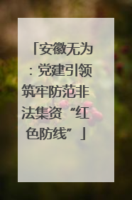 安徽无为：党建引领筑牢防范非法集资“红色防线”