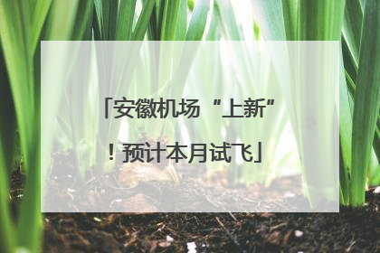 安徽机场“上新”！预计本月试飞