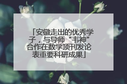 安徽走出的优秀学子，与导师“韦神”合作在数学顶刊发论表重要科研成果