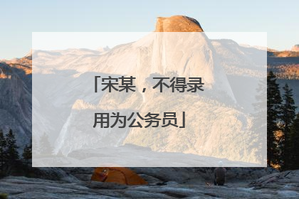 宋某，不得录用为公务员