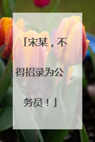宋某，不得招录为公务员！