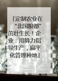 定制农业在“北国粮都”茁壮生长！企业：用算力指导生产，扁平化管理种地