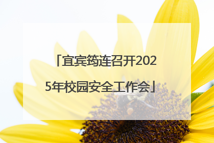 宜宾筠连召开2025年校园安全工作会