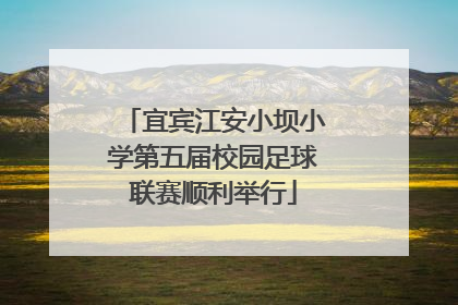 宜宾江安小坝小学第五届校园足球联赛顺利举行