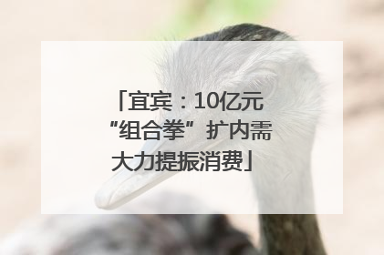 宜宾：10亿元“组合拳”扩内需 大力提振消费