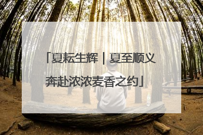 夏耘生辉｜夏至顺义奔赴浓浓麦香之约
