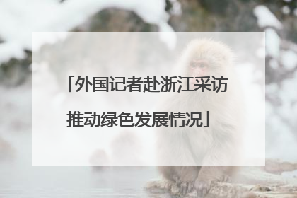 外国记者赴浙江采访推动绿色发展情况