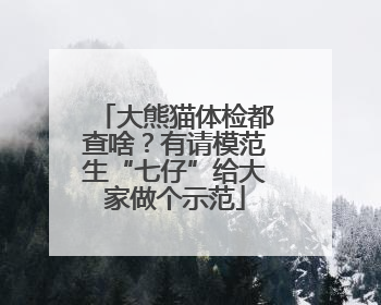 大熊猫体检都查啥？有请模范生“七仔”给大家做个示范