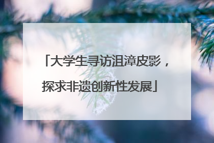 大学生寻访沮漳皮影，探求非遗创新性发展
