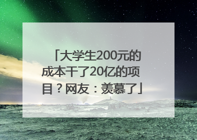 大学生200元的成本干了20亿的项目？网友：羡慕了
