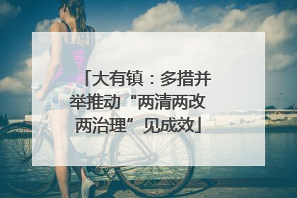 大有镇：多措并举推动“两清两改两治理”见成效