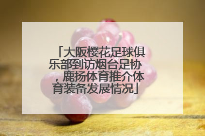 大阪樱花足球俱乐部到访烟台足协，鹿扬体育推介体育装备发展情况