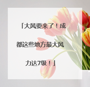 大风要来了！成都这些地方最大风力达7级！
