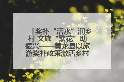 奖补“活水”润乡村 文旅“繁花”助振兴——黄龙县以旅游奖补政策激活乡村振兴新动能