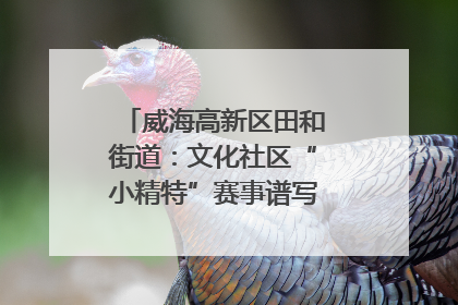 威海高新区田和街道：文化社区“小精特”赛事谱写文化赋能新乐章