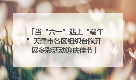 当“六一”遇上“端午”天津市各区组织台胞开展多彩活动迎庆佳节