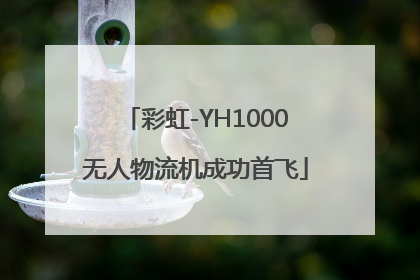 彩虹-YH1000无人物流机成功首飞