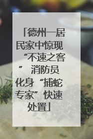 德州一居民家中惊现“不速之客” 消防员化身“捕蛇专家”快速处置