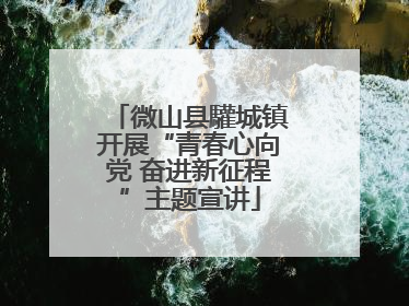 微山县驩城镇开展“青春心向党 奋进新征程”主题宣讲