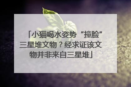 小猫喝水姿势“撞脸”三星堆文物？经求证该文物并非来自三星堆