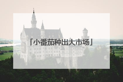 小番茄种出大市场
