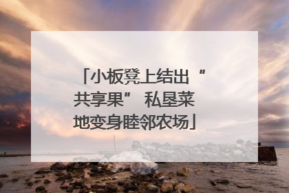 小板凳上结出“共享果” 私垦菜地变身睦邻农场