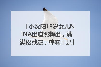 小沈阳18岁女儿NINA出道照释出，满满松弛感，韩味十足