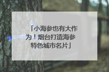 小海参也有大作为！烟台打造海参特色城市名片