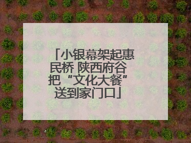 小银幕架起惠民桥 陕西府谷把“文化大餐”送到家门口