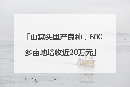 山窝头里产良种，600多亩地增收近20万元