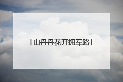 山丹丹花开拥军路