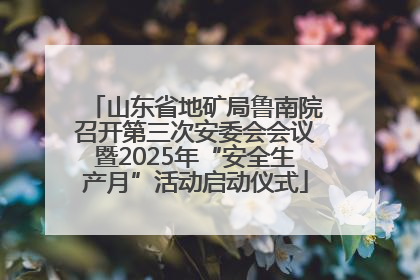 山东省地矿局鲁南院召开第三次安委会会议暨2025年“安全生产月”活动启动仪式