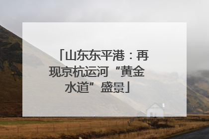 山东东平港：再现京杭运河“黄金水道”盛景