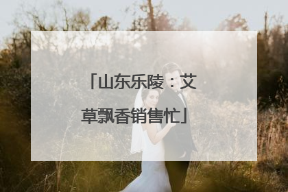 山东乐陵：艾草飘香销售忙