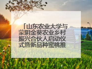 山东农业大学与蒙阴金葵农业乡村振兴合伙人启动仪式暨新品种蜜桃推介活动举行