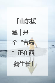 山东援藏｜另一个“青岛”正在西藏生长