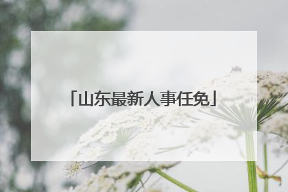 山东最新人事任免