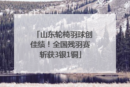 山东轮椅羽球创佳绩！全国残羽赛斩获3银1铜