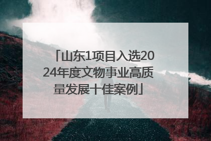山东1项目入选2024年度文物事业高质量发展十佳案例