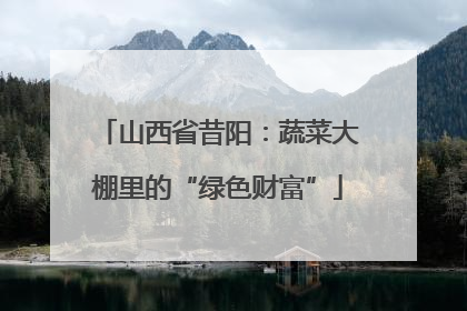 山西省昔阳：蔬菜大棚里的“绿色财富”