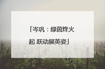 岑巩：绿茵烽火起 跃动展英姿