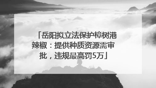 岳阳拟立法保护樟树港辣椒：提供种质资源需审批，违规最高罚5万