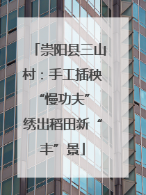 崇阳县三山村：手工插秧“慢功夫” 绣出稻田新“丰”景