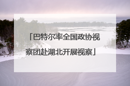 巴特尔率全国政协视察团赴湖北开展视察