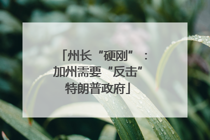 州长“硬刚”：加州需要“反击”特朗普政府
