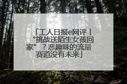 工人日报e网评丨“挑战送陌生女孩回家”？恶趣味的流量赛道没有未来
