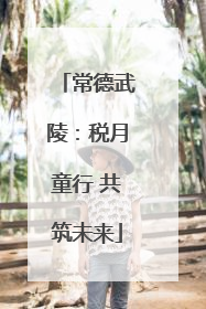 常德武陵：税月童行 共筑未来