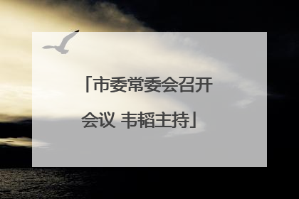 市委常委会召开会议 韦韬主持
