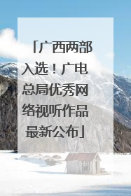 广西两部入选！广电总局优秀网络视听作品最新公布