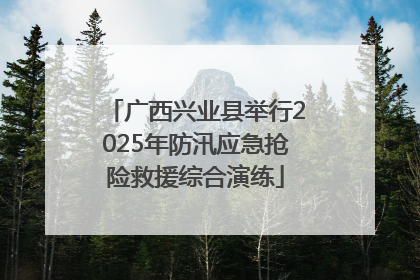 广西兴业县举行2025年防汛应急抢险救援综合演练